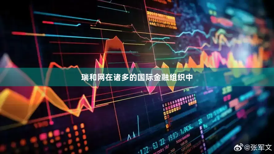 瑞和网在诸多的国际金融组织中