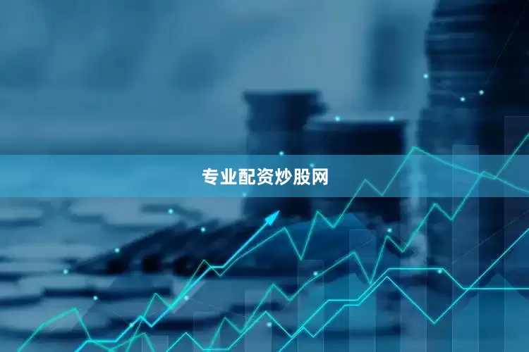专业配资炒股网