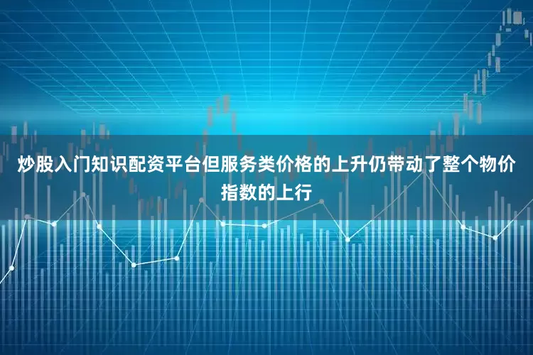 炒股入门知识配资平台但服务类价格的上升仍带动了整个物价指数的上行