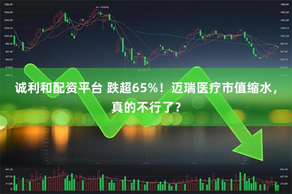 诚利和配资平台 跌超65%!迈瑞医疗市值缩水,真的不行了?